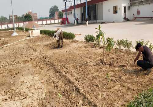 Terrace Garden Services Provider in Noida